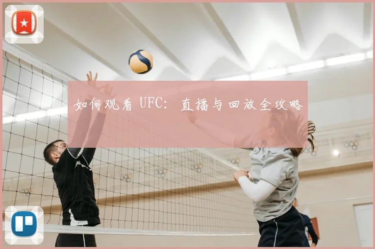 如何观看 UFC：直播与回放全攻略