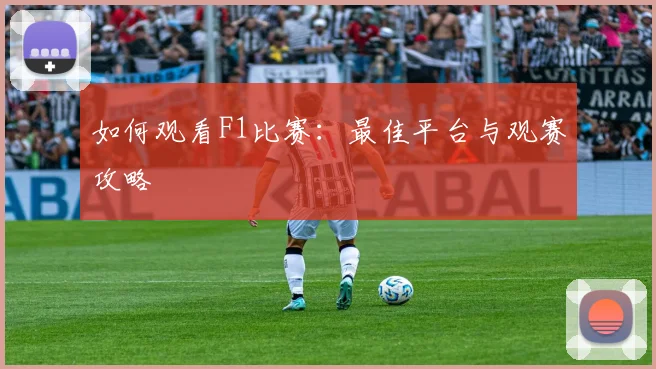 如何观看F1比赛：最佳平台与观赛攻略