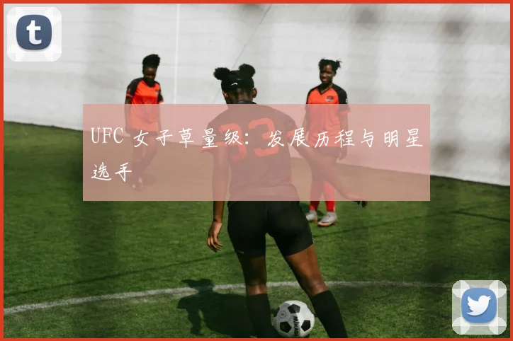 UFC 女子草量级：发展历程与明星选手