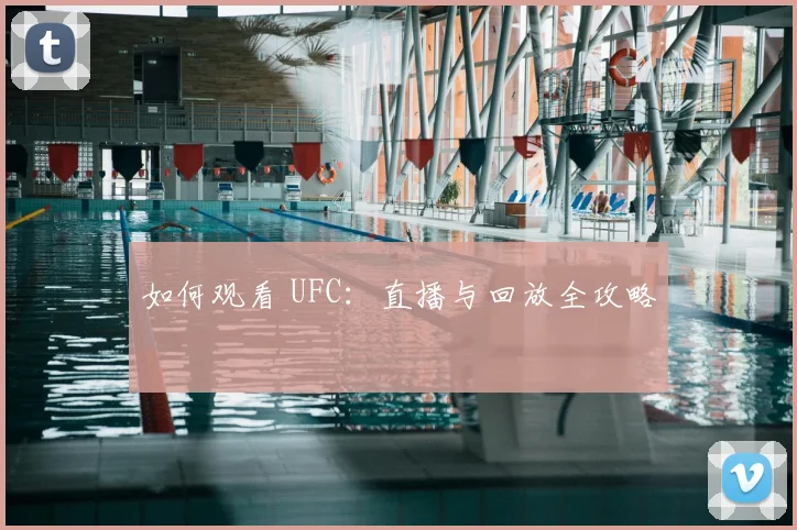 如何观看 UFC：直播与回放全攻略