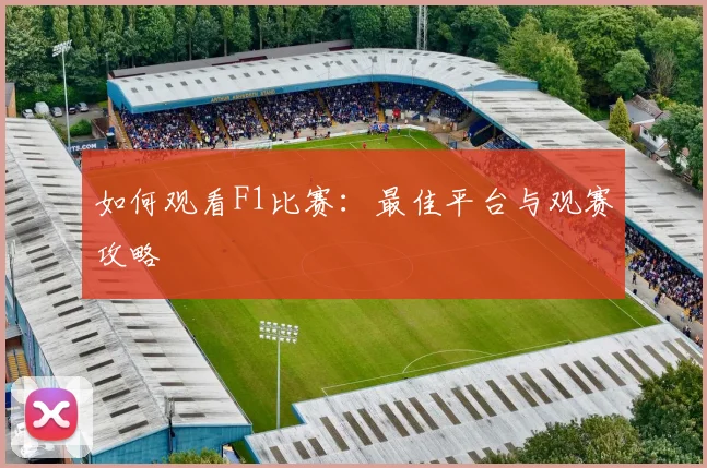 如何观看F1比赛：最佳平台与观赛攻略