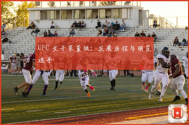 UFC 女子草量级：发展历程与明星选手